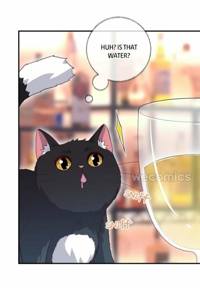 Pay Me Back, Mr. Cat - Chapter 15