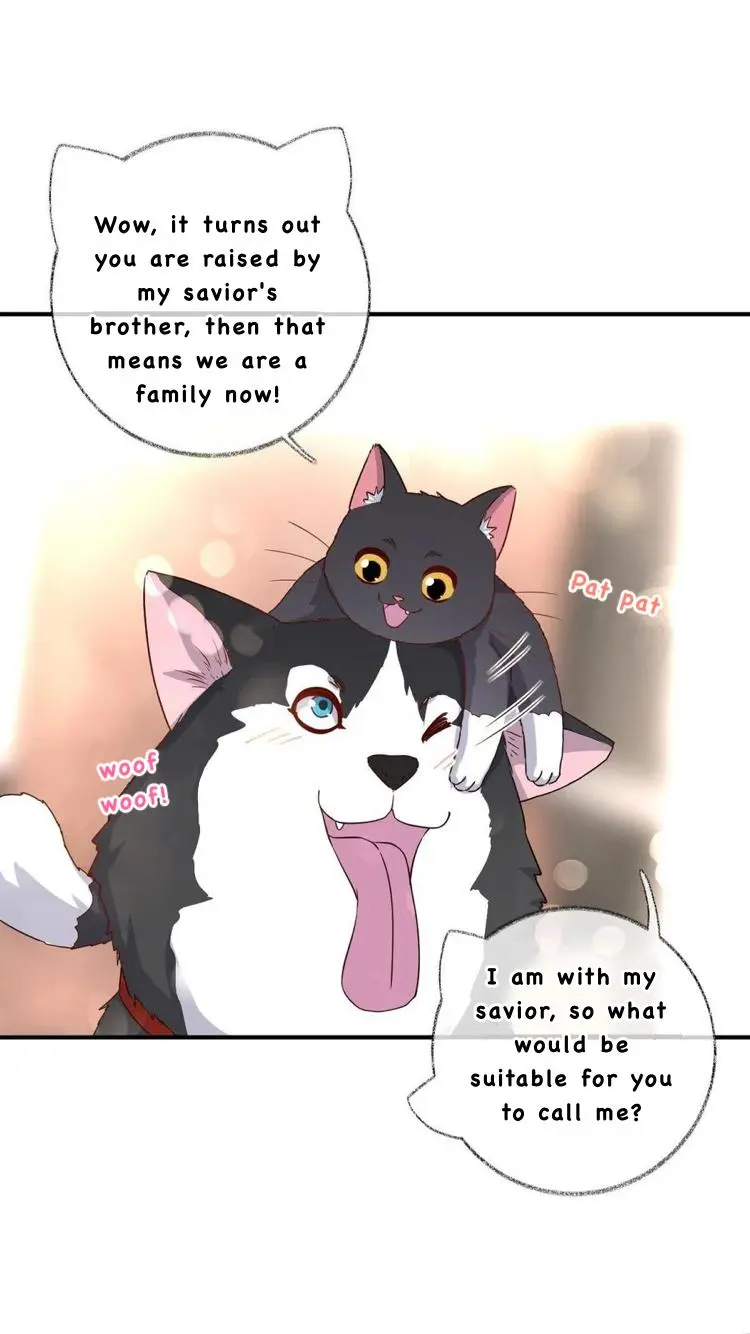 Pay Me Back, Mr. Cat - Vol.1  Chapter 26