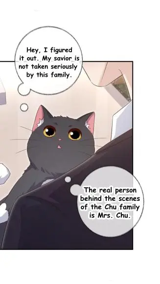 Pay Me Back, Mr. Cat - Vol.1  Chapter 26