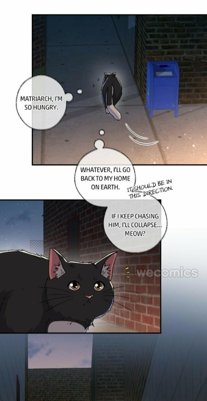 Pay Me Back, Mr. Cat - Chapter 5