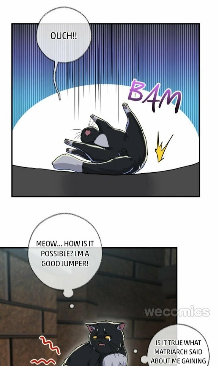 Pay Me Back, Mr. Cat - Chapter 5