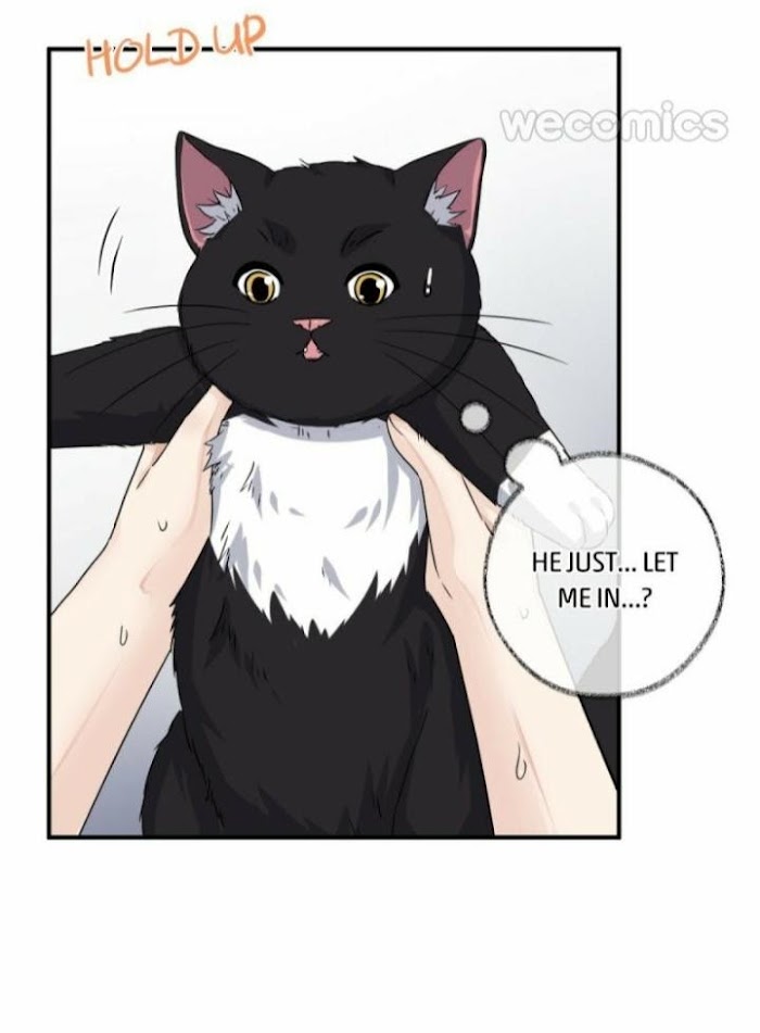 Pay Me Back, Mr. Cat - Chapter 6