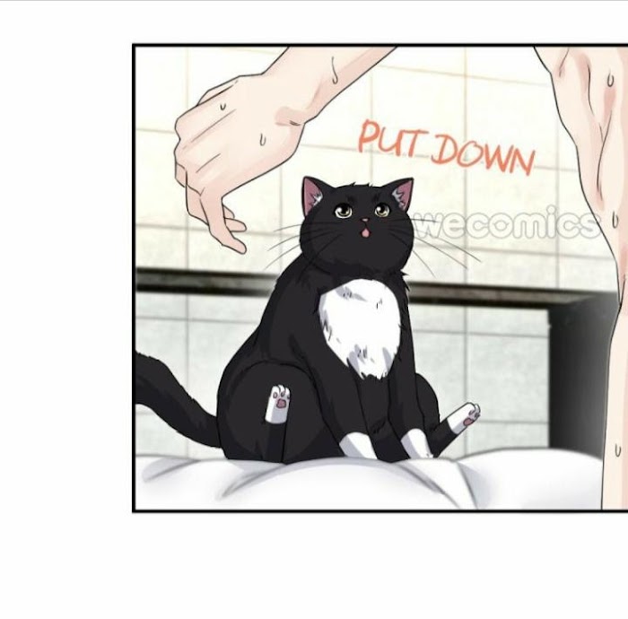 Pay Me Back, Mr. Cat - Chapter 6