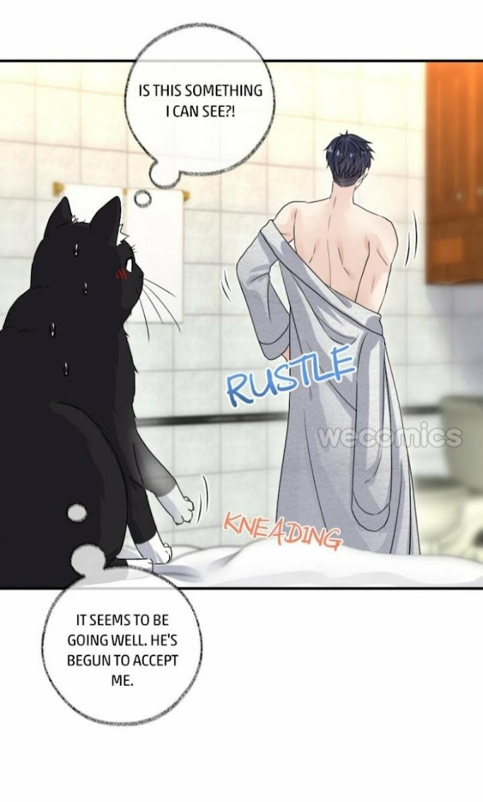 Pay Me Back, Mr. Cat - Chapter 6