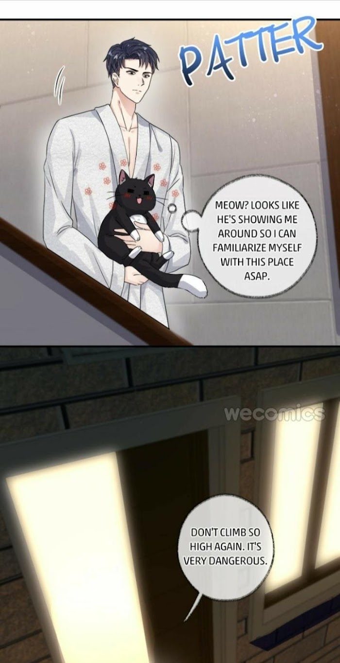 Pay Me Back, Mr. Cat - Chapter 6