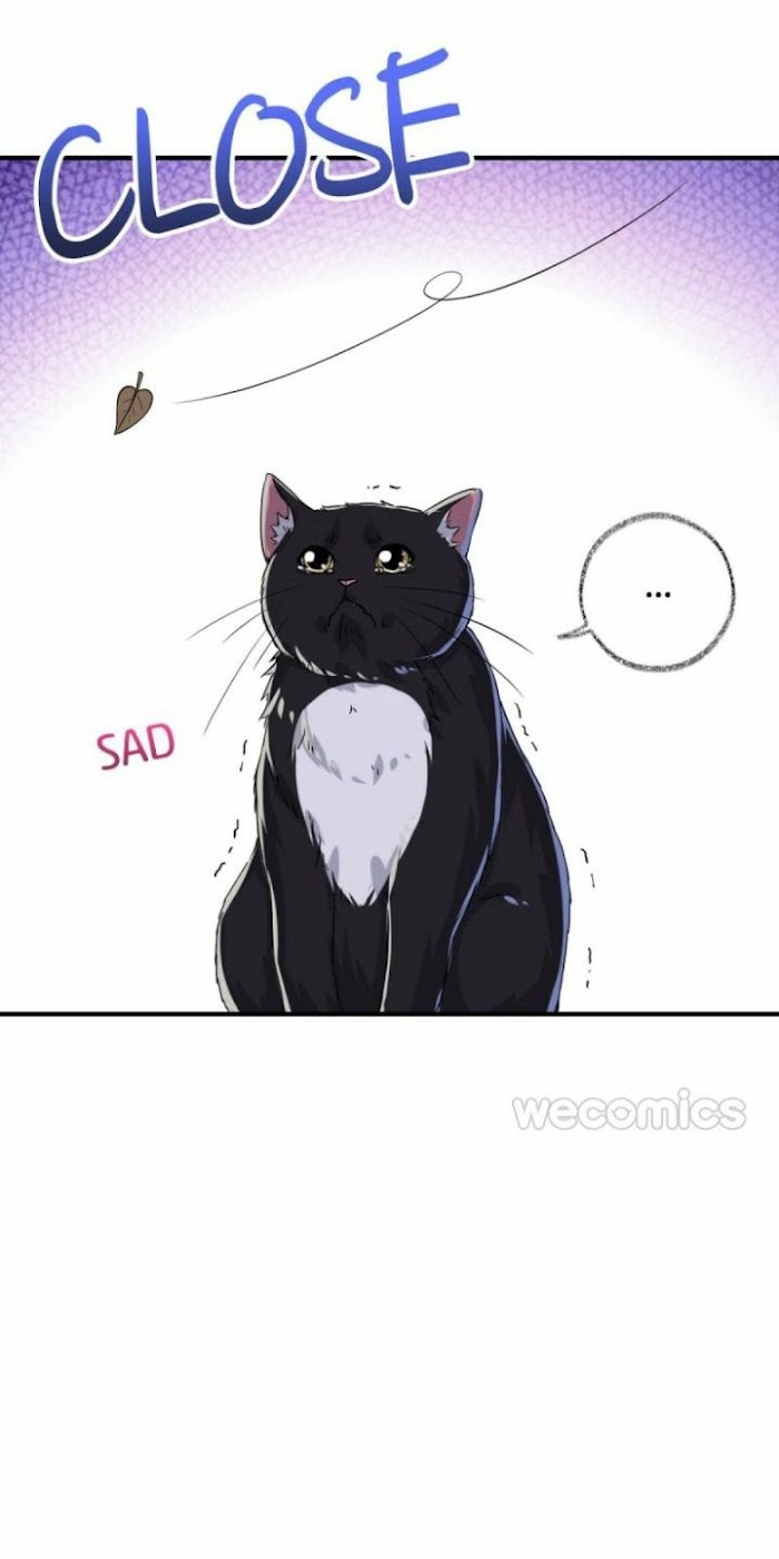 Pay Me Back, Mr. Cat - Chapter 6