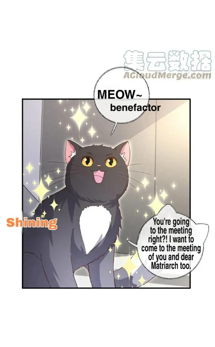 Pay Me Back, Mr. Cat - Chapter 20