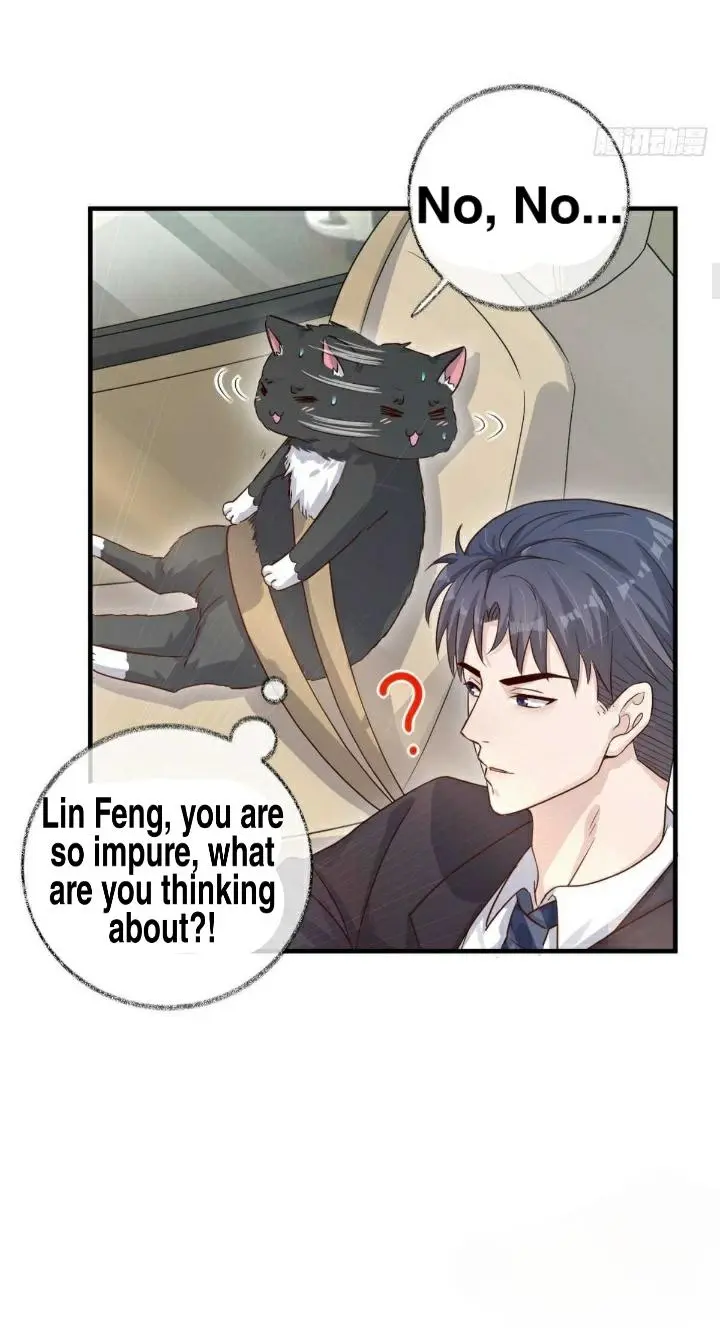 Pay Me Back, Mr. Cat - Chapter 19