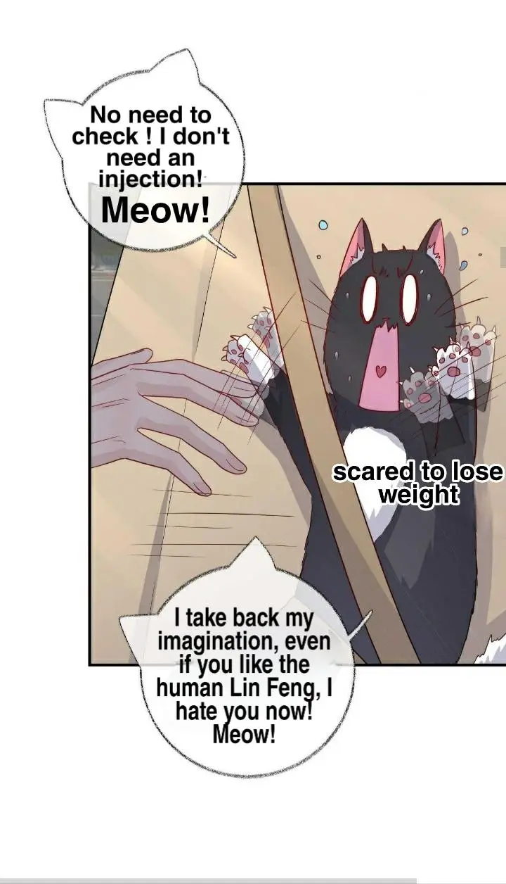 Pay Me Back, Mr. Cat - Chapter 19