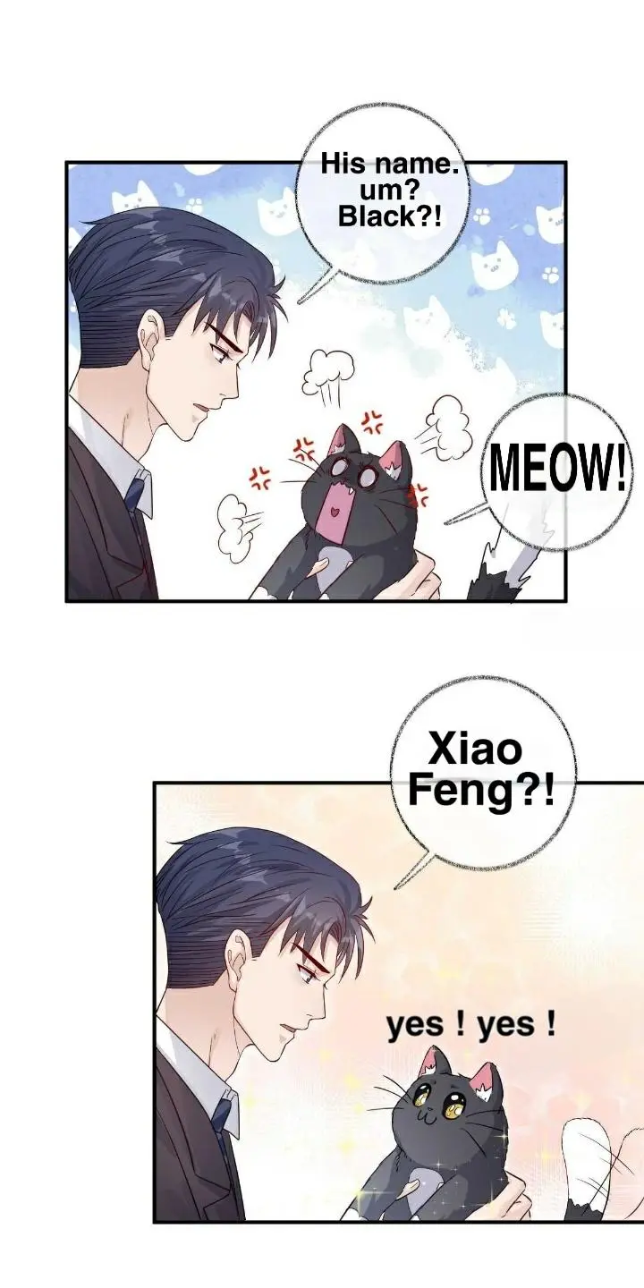 Pay Me Back, Mr. Cat - Chapter 19