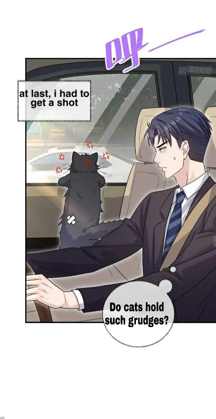 Pay Me Back, Mr. Cat - Chapter 19