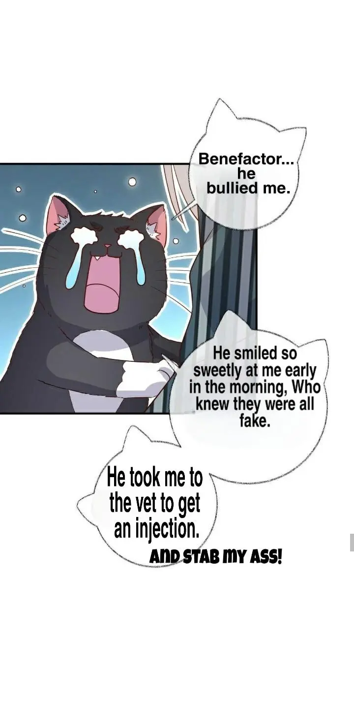 Pay Me Back, Mr. Cat - Chapter 19