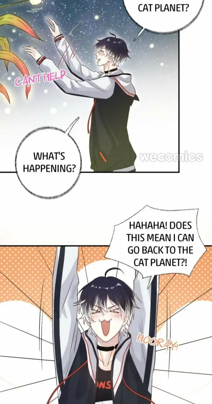 Pay Me Back, Mr. Cat - Chapter 10