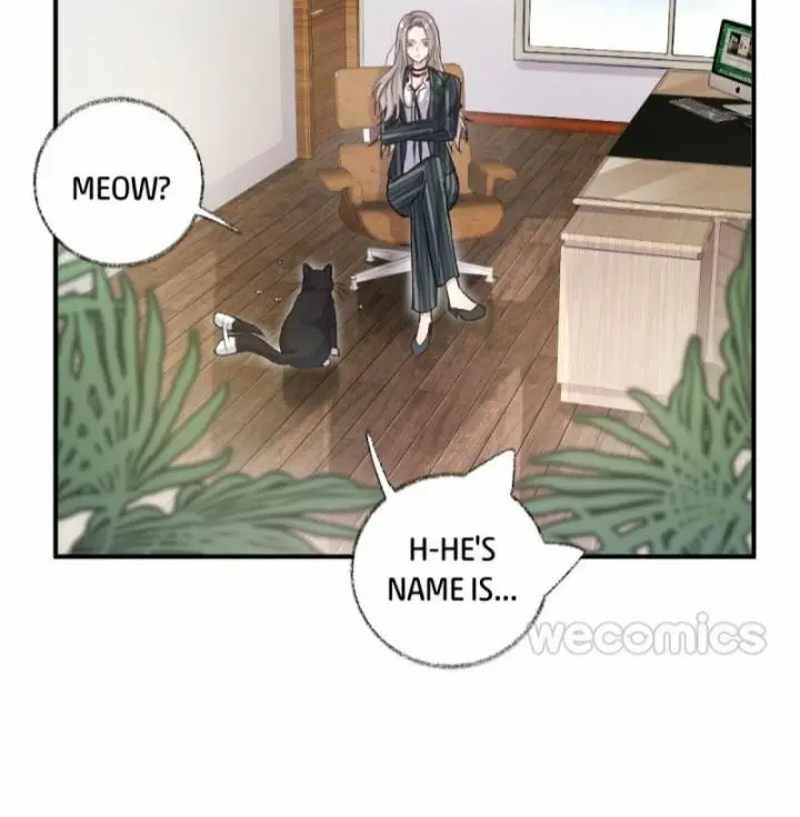 Pay Me Back, Mr. Cat - Chapter 11