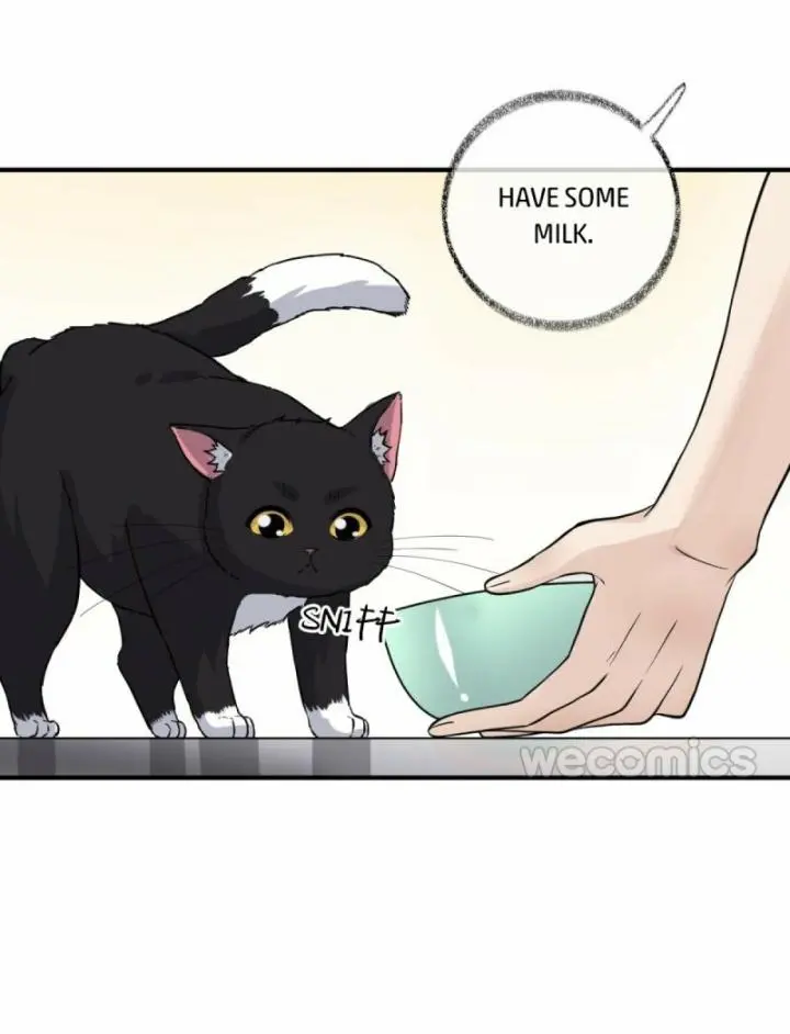 Pay Me Back, Mr. Cat - Chapter 9