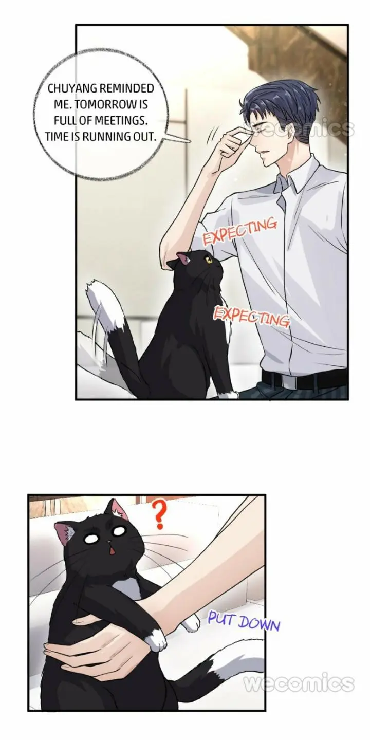 Pay Me Back, Mr. Cat - Chapter 9