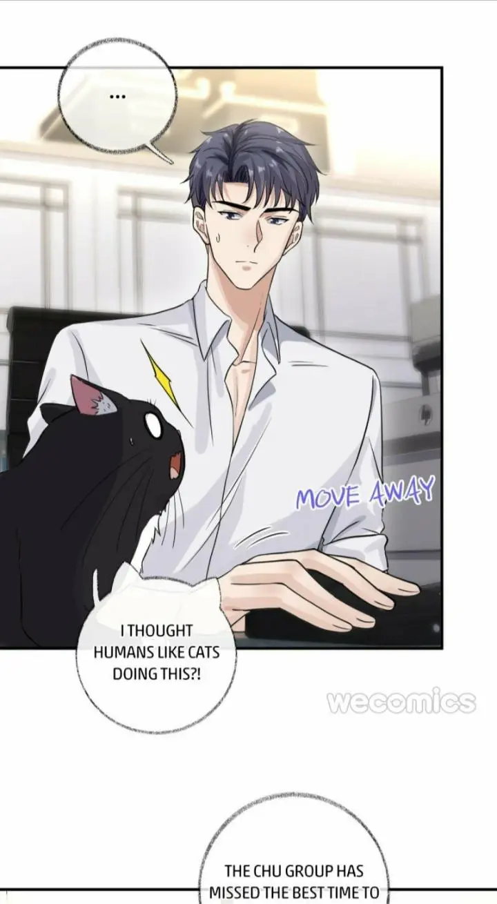 Pay Me Back, Mr. Cat - Chapter 9