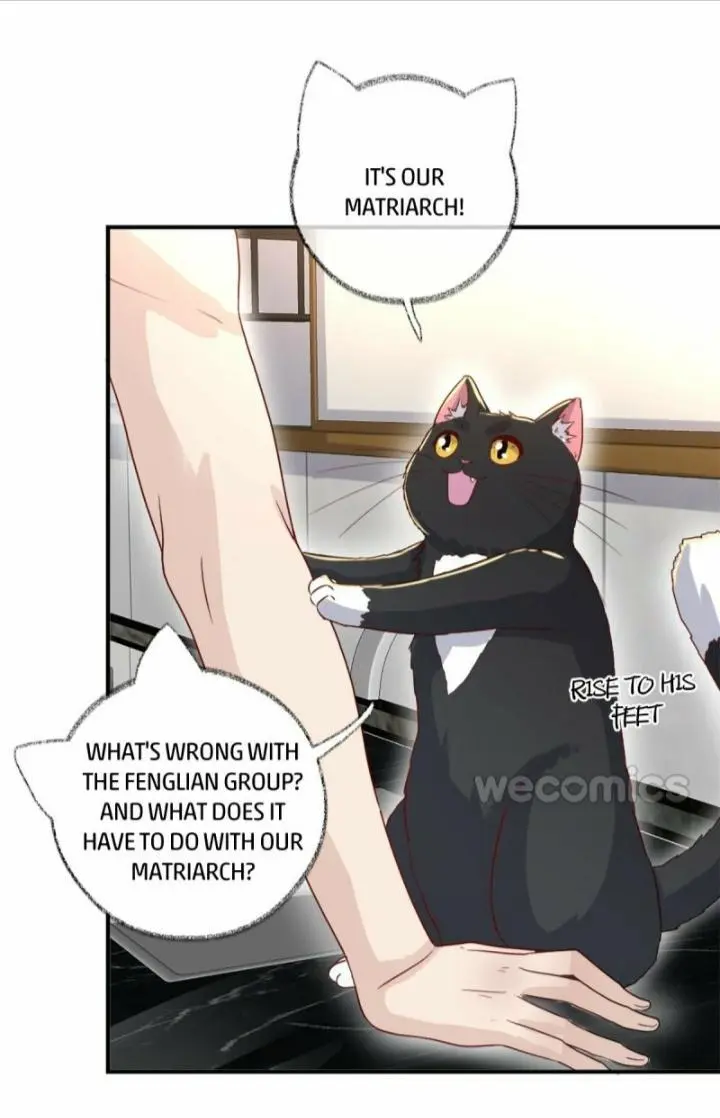 Pay Me Back, Mr. Cat - Chapter 12