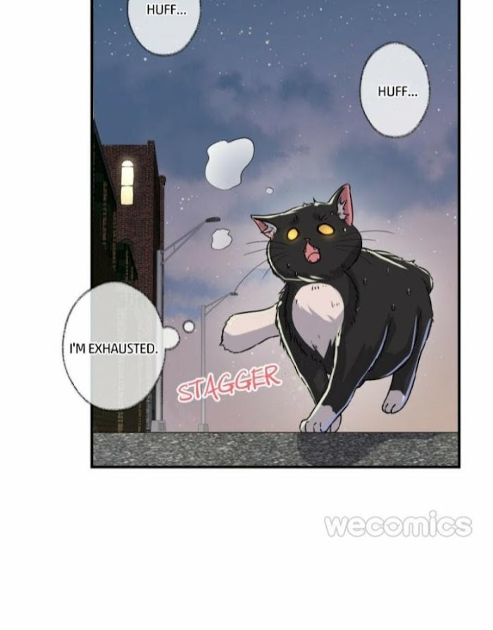 Pay Me Back, Mr. Cat - Chapter 4