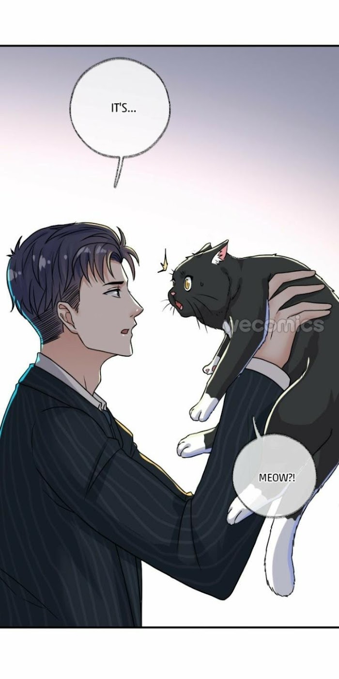 Pay Me Back, Mr. Cat - Chapter 4