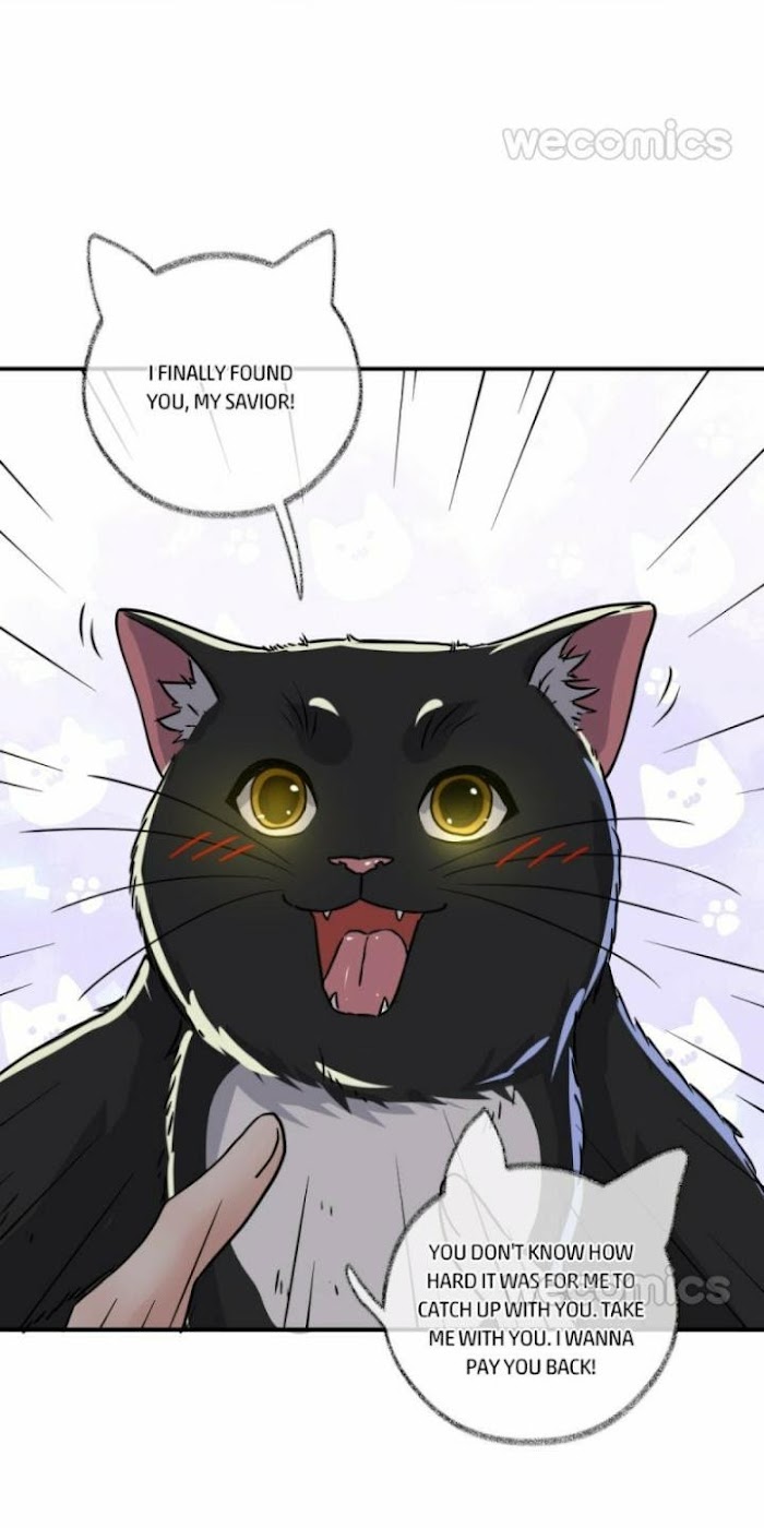 Pay Me Back, Mr. Cat - Chapter 4