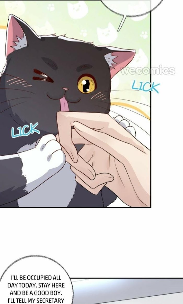 Pay Me Back, Mr. Cat - Chapter 13