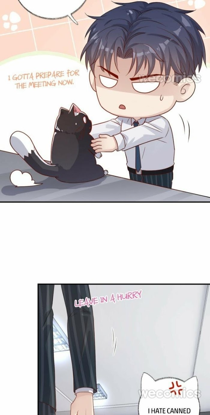 Pay Me Back, Mr. Cat - Chapter 13