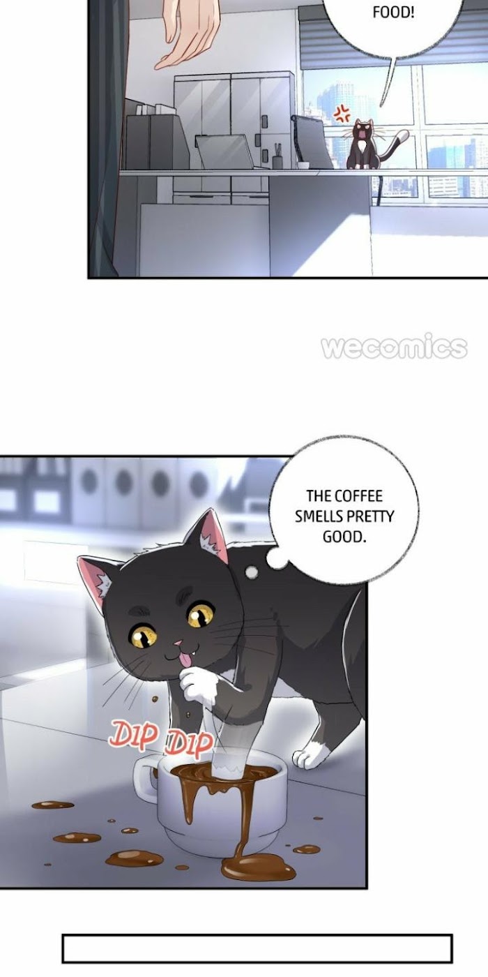 Pay Me Back, Mr. Cat - Chapter 13