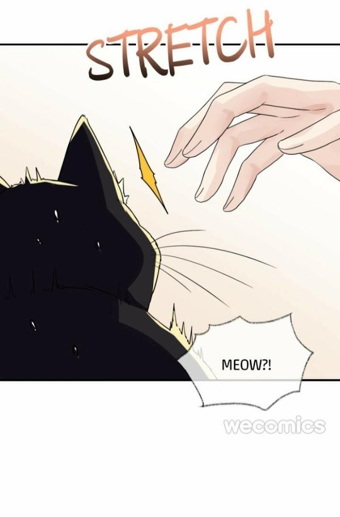 Pay Me Back, Mr. Cat - Chapter 7