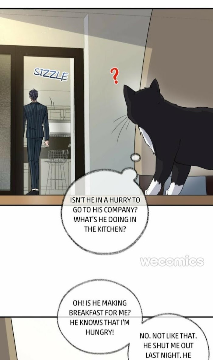 Pay Me Back, Mr. Cat - Chapter 7