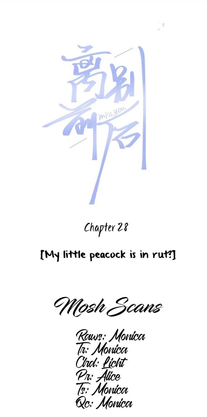 Miss You - Chapter 29 : My Little Peacock Is In Ru.