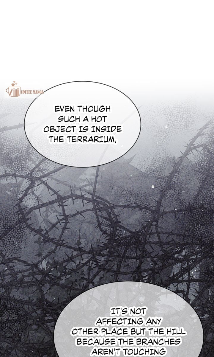 Terrarium Adventure - Chapter 83