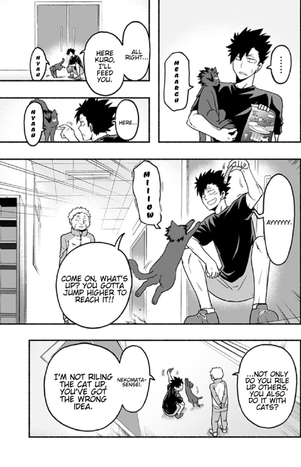 Haikyuu-Bu!! - Chapter 52: Kuro The Kitten