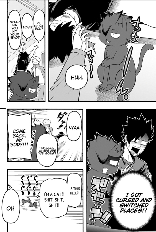 Haikyuu-Bu!! - Chapter 52: Kuro The Kitten