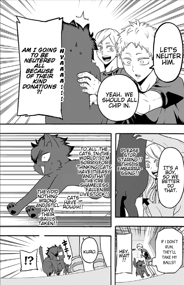 Haikyuu-Bu!! - Chapter 52: Kuro The Kitten