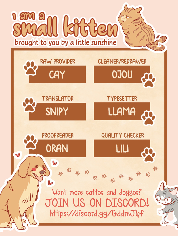 I Am A Small Kitten - Chapter 41