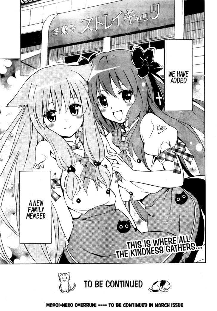 Mayoi Neko Overrun! - Vol.1 Chapter 1 : It S Not Like I Ve Asked To Be Taken In!!