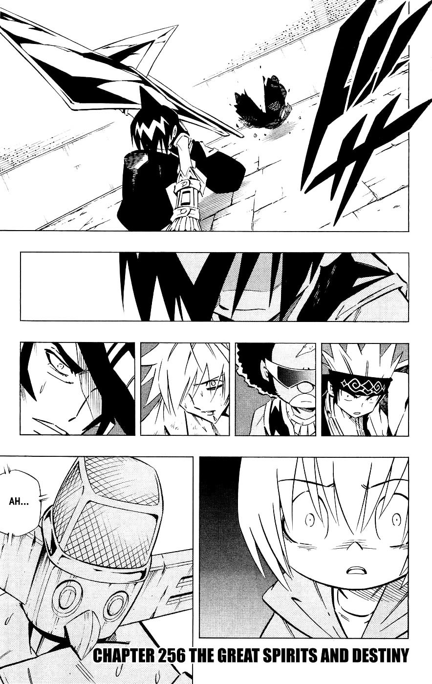 Shaman King - Vol.29 Chapter 256 : The Great Spirits And Destiny