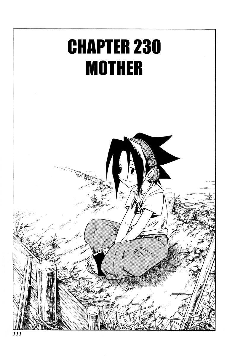 Shaman King - Vol.26 Chapter 230 : Mother