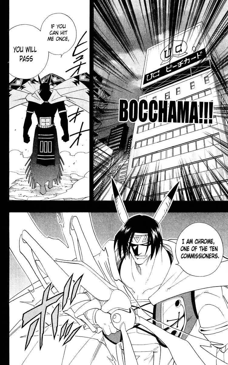 Shaman King - Vol.20 Chapter 178 : Epilogue 2