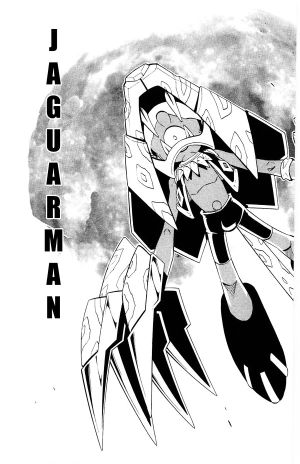 Shaman King - Vol.23 Chapter 205 : Epilogue 5 ~Pascal Avaf~