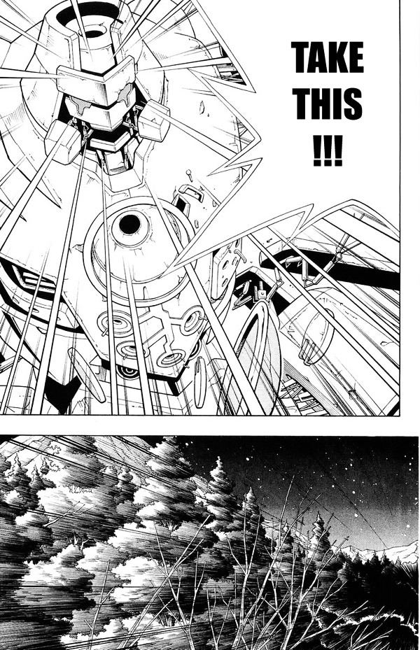 Shaman King - Vol.23 Chapter 206 : Epilogue 5 ~Challenge~