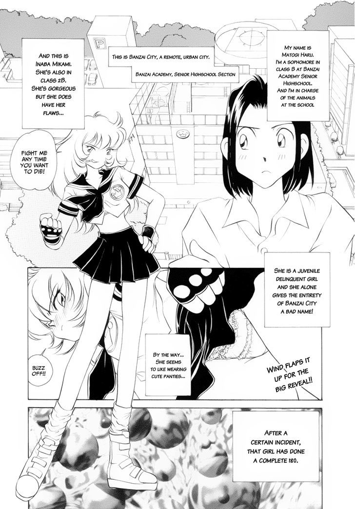 Usagi-Chan De Cue!! - Vol.1 Chapter 2