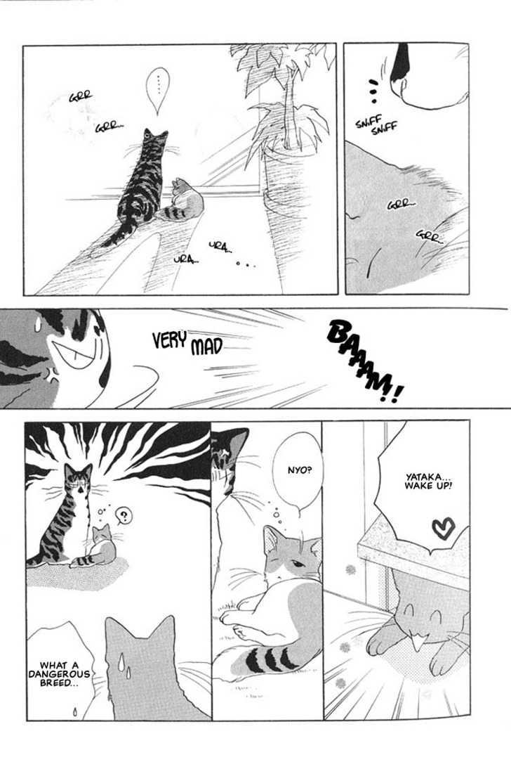 Shippo No Kimochi - Vol.1 Chapter 3