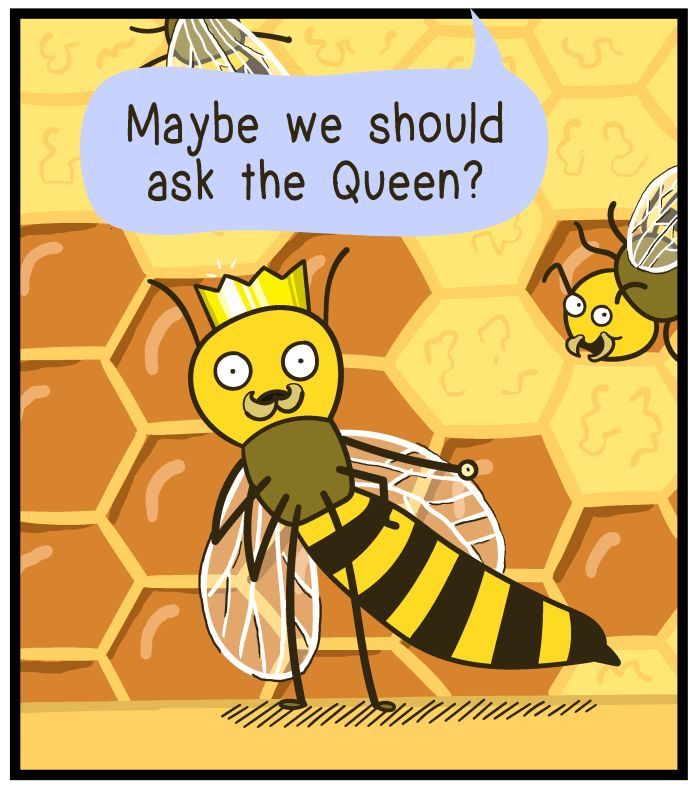 1111 Animals - Chapter 16 : Queen Bee