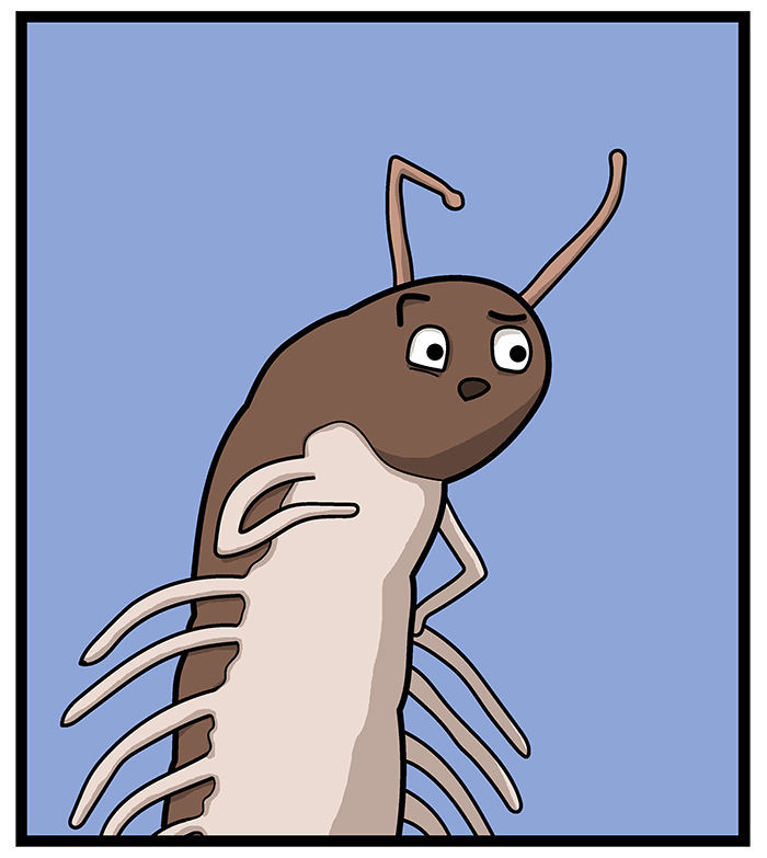 1111 Animals - Chapter 5 : The Centipede And The Millipede