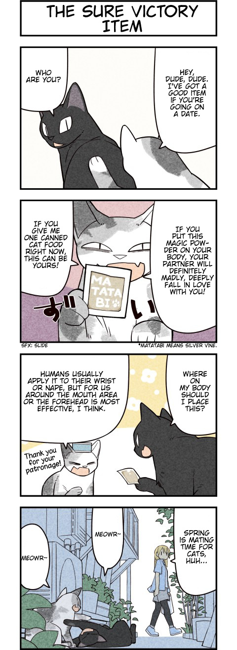 We Are Cats - Chapter 62