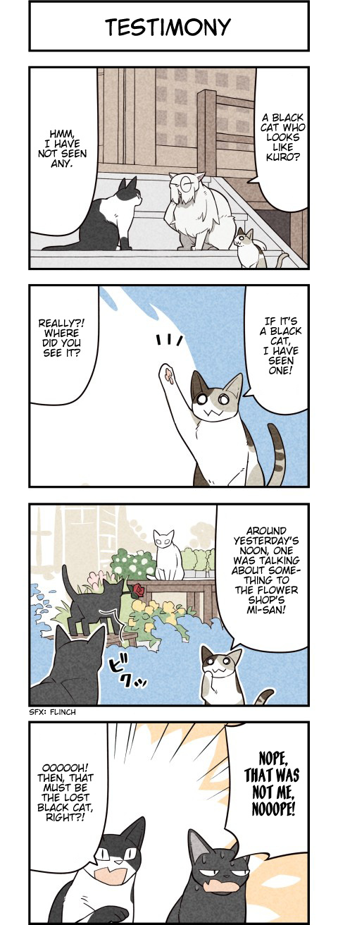 We Are Cats - Chapter 56