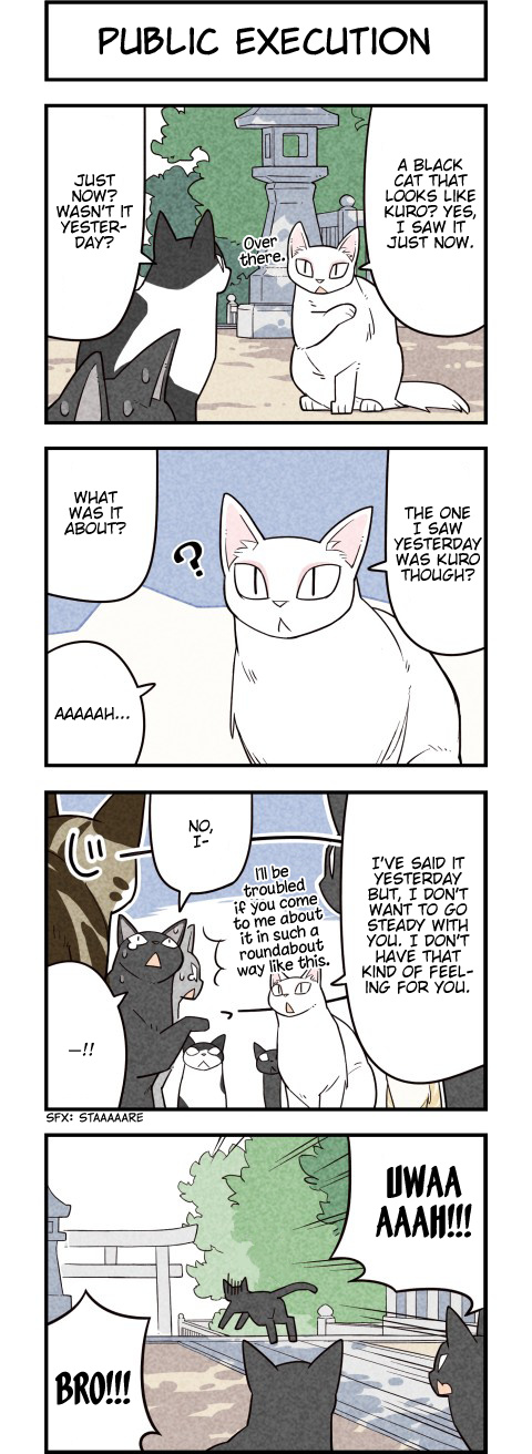 We Are Cats - Chapter 56