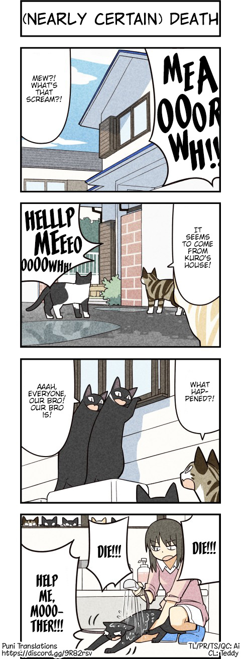 We Are Cats - Chapter 60